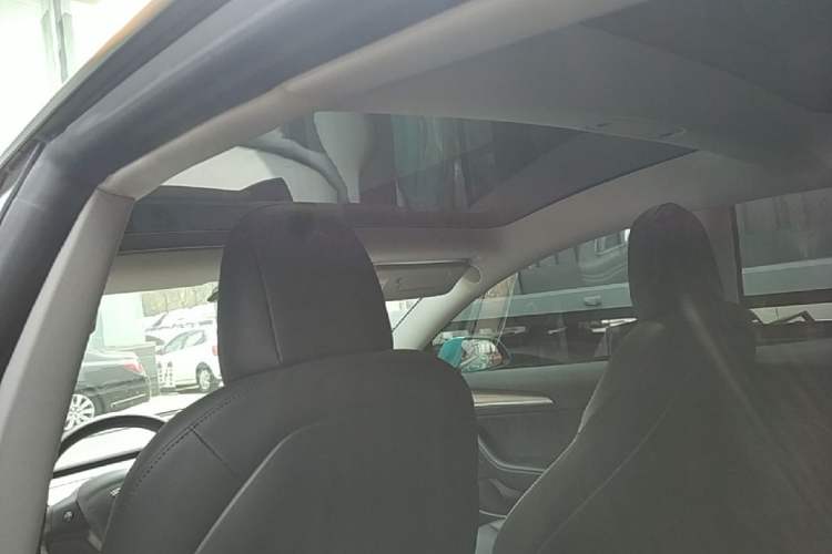 Used Tesla Model 3 2021 Standard Range Rear-Wheel Drive Upgraded Version 3D6 Headliner