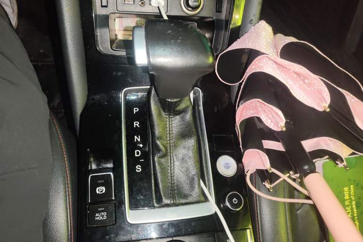 Used BORGWARD BX5 2017 20TGDI Automatic Two-Wheel Drive Pioneer Edition
