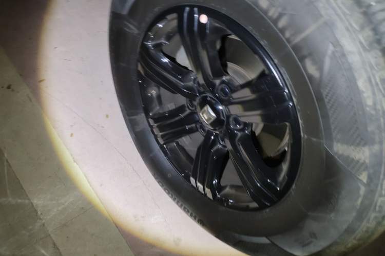 Used Tank 300 2025 2.4T Diesel Version