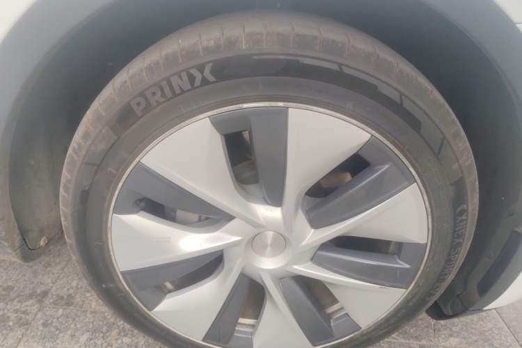 Used Tesla Model Y 2021 Standard Range Rear-Wheel Drive Version
