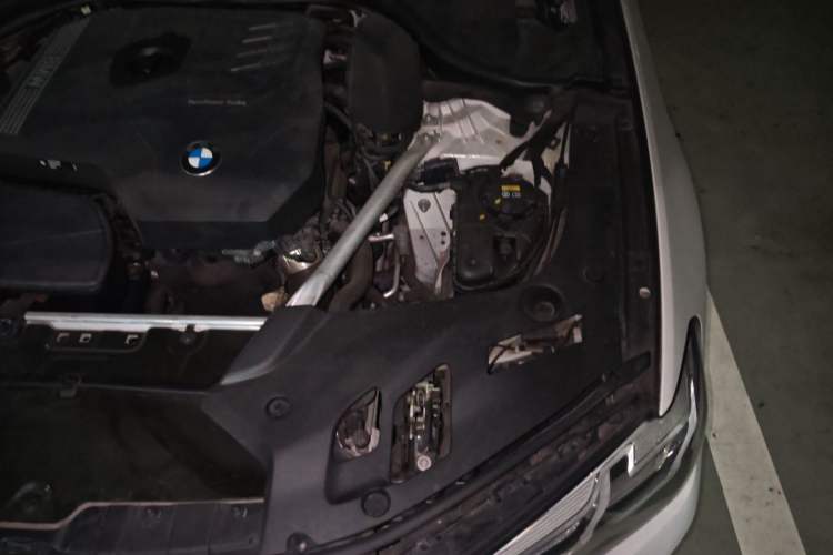 Used BMW 5 Series 2021 Updated Version 525Li Luxury Package