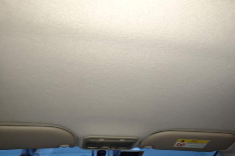 Used SOL E10X 2021 302 km Range Fashion Edition 31.4 kWh Headliner