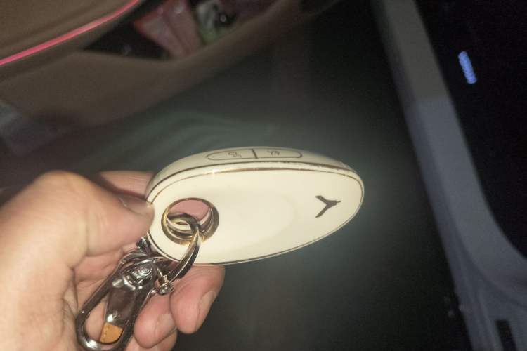 Used VOYAH FREE 2024 Ultra-Long Range Intelligent Driving Version Vehicle Key