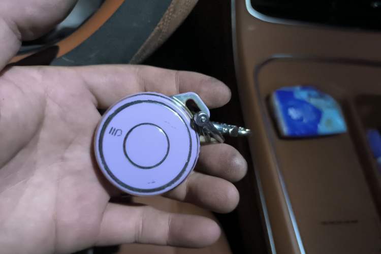 Used NETA L 2024 Extended-Range 220 Flash-Charge Edition
