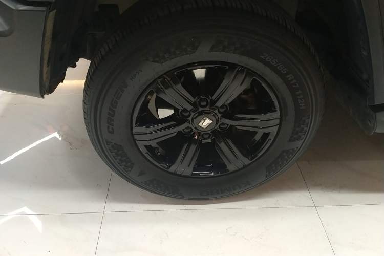 Used Tank 300 2024 2.0T Conqueror
