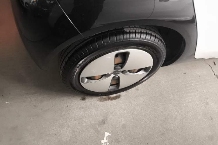 Used ORA Black Cat 2019 301km Standard Edition
