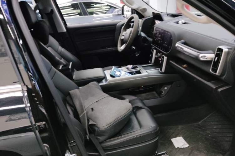 Used Haval DARGO 2024 2.0T DCT Chinese Rural Dog Edition
