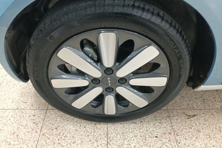 Used ORA Black Cat 2019 351 km Goddess Edition Left Front Wheel Hub