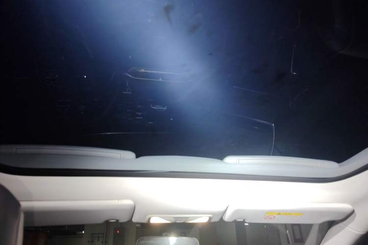 Used Venucia V 2022 260T Black Horse Edition · King
