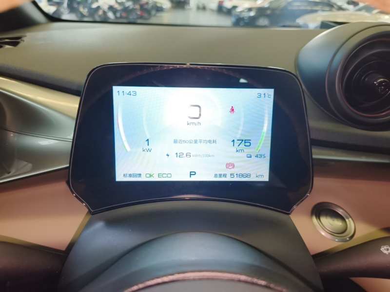 Used BYD Dolphin 2021 405 km Fashion Edition — 11