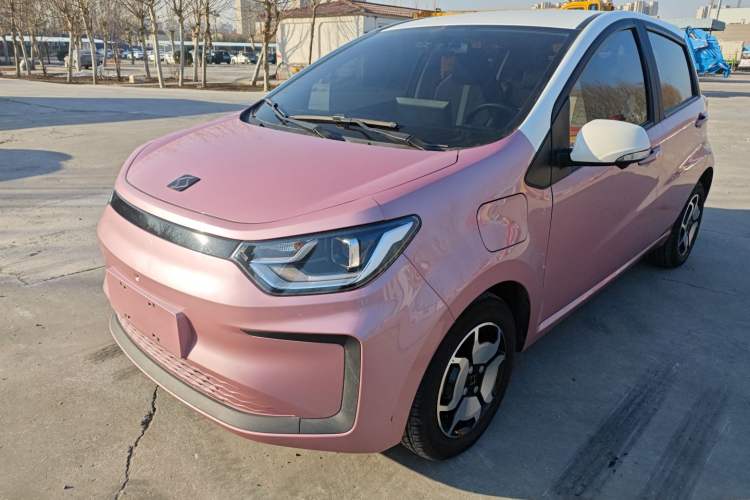 Used SOL E10X 2022 Flower Fairy Design Sunflower