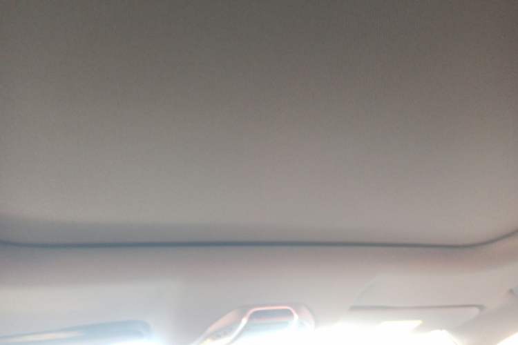 Used Geely Auto Haoyue L 2023 2.0T DCT Prestige Edition Headliner