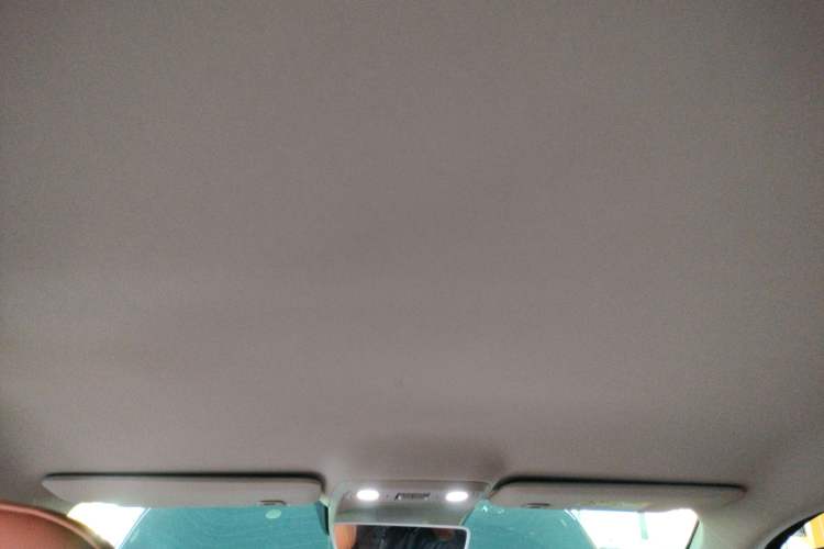 Used Leapmotor C10 2024 210 Comfort Edition Headliner