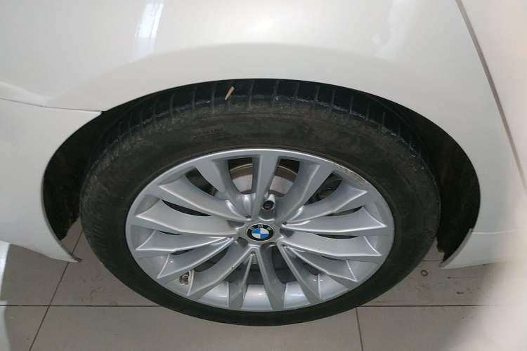 Used BMW 5 Series New Energy 2020 530Le Pioneer Edition
