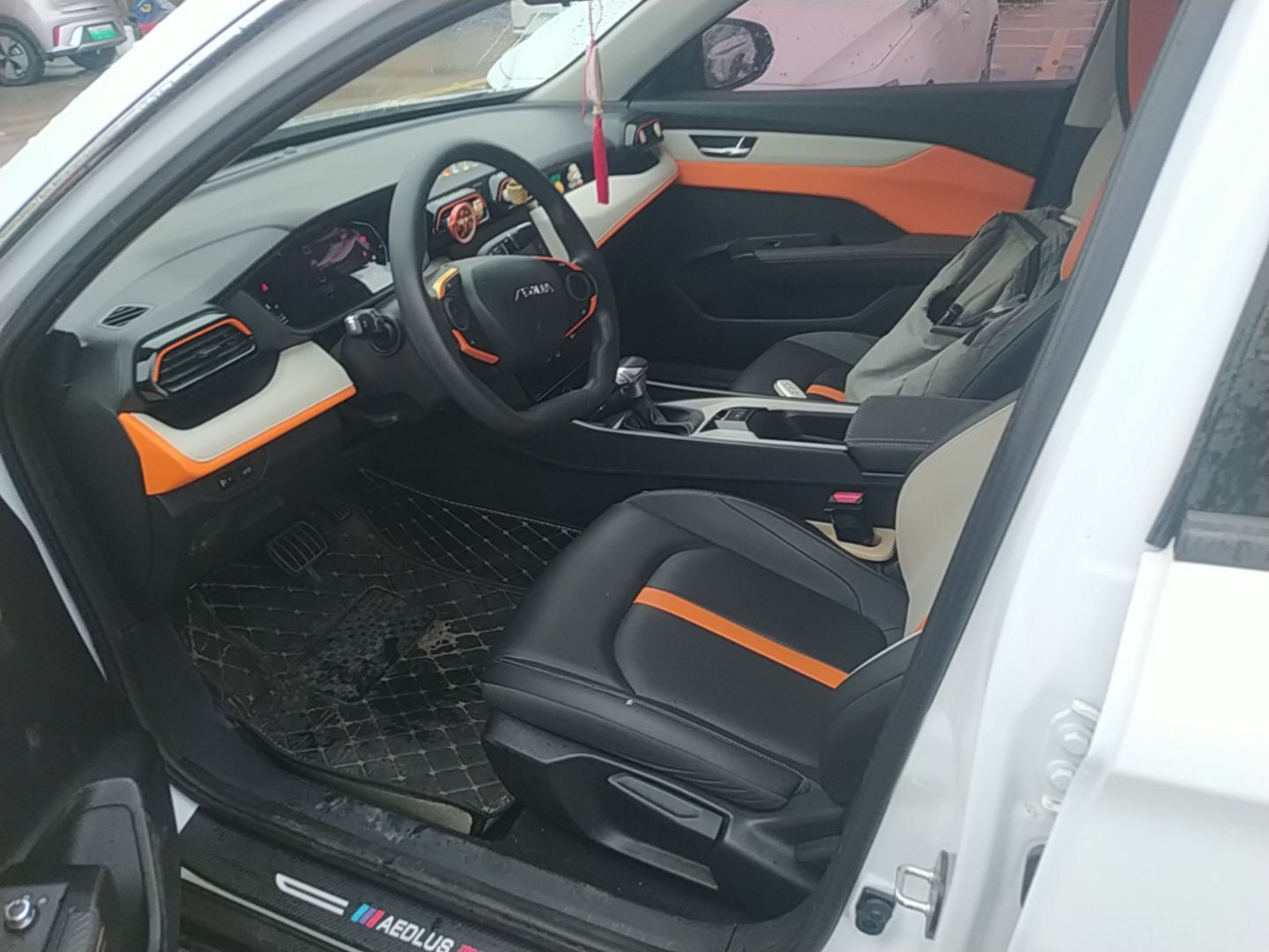 Interior delantero