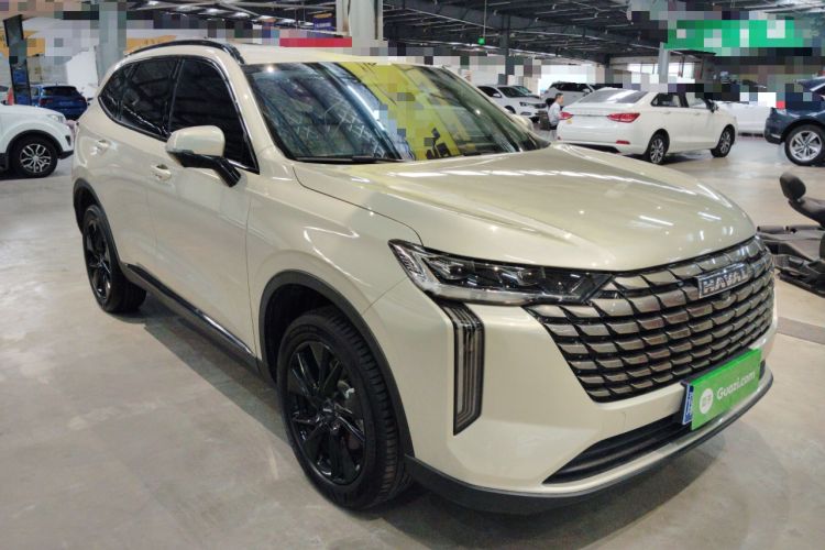 Used Haval H6 2024 2.0T All-Wheel Drive Max
