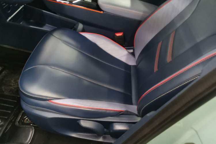 Used Geometry E Firefly 2022 401KM Lightning Tiger 4-Seater
