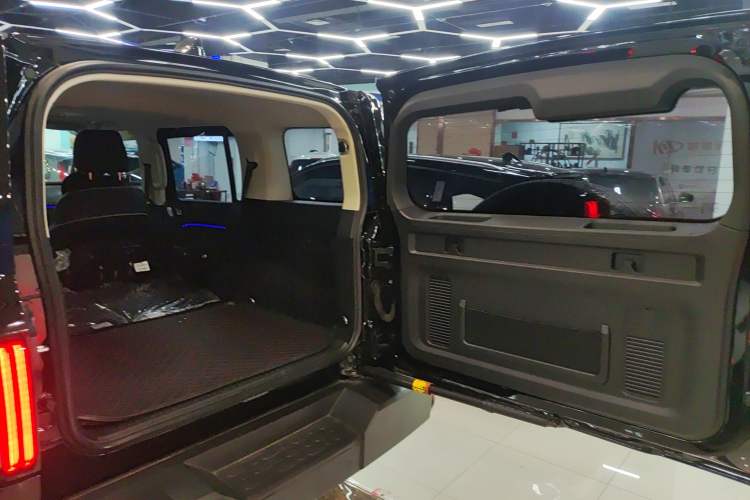 Used Tank 300 2024 2.0T Conqueror