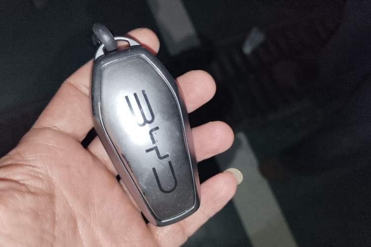 Used BYD Destroyer 05 2024 HONOR Edition DM-i 55KM Luxury Model Vehicle Key