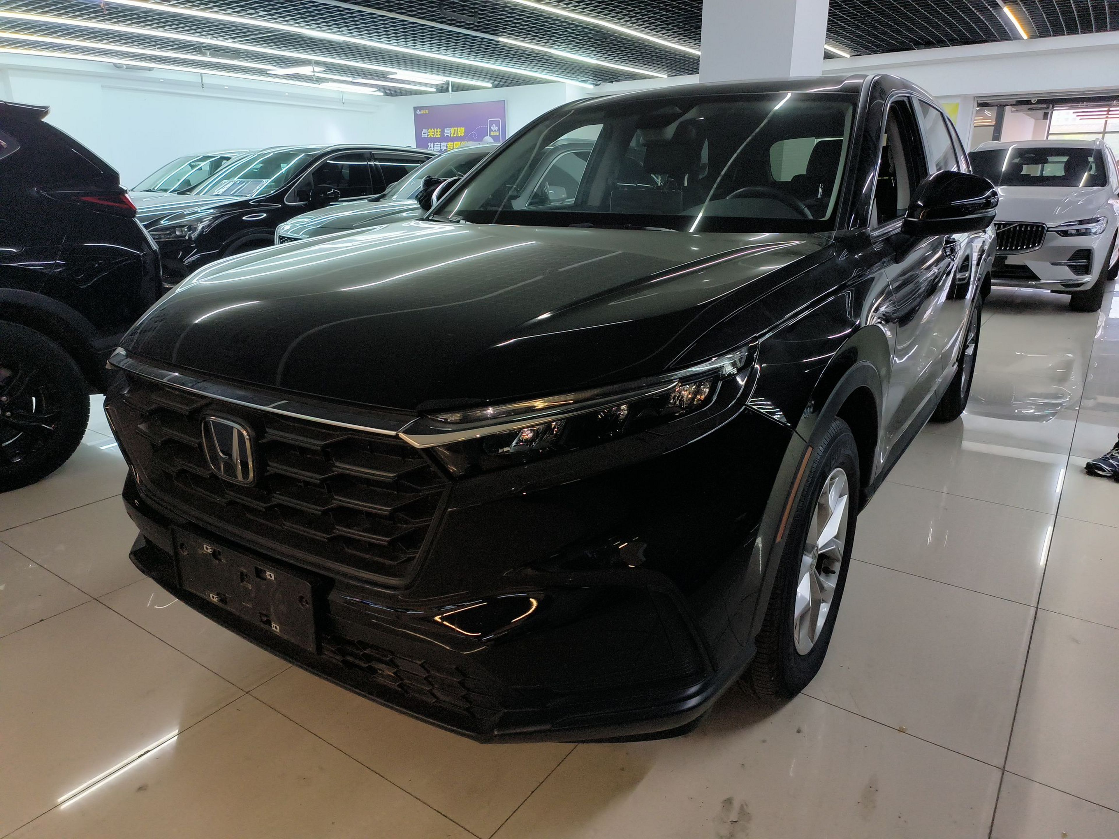 Under Front Bumper