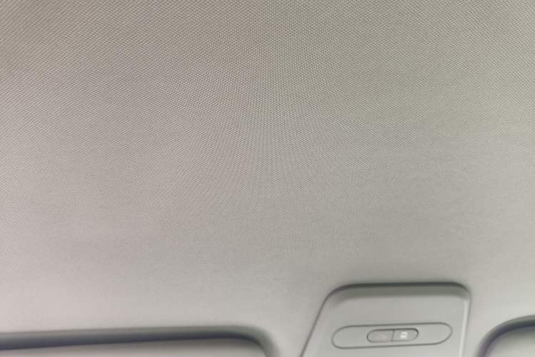 Used Baojun E100 2019 250KM Smart Drive Edition Headliner