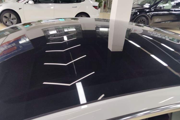 Used Tesla Model 3 2019 Standard Range Rear-Wheel Drive Upgraded Version (52 kWh) Roof