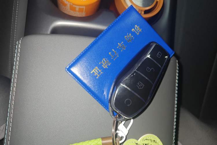 Used BYD Qin PLUS 2025 DM-i Smart Drive 55KM Leading Model