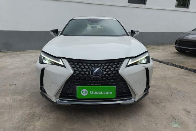 Used Lexus UX New Energy 2020 300e Pure·Joy Edition