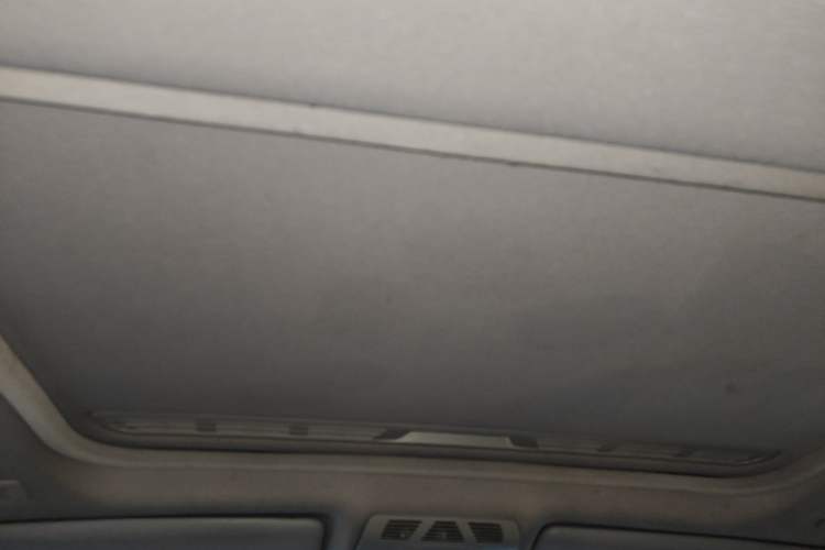 Used BMW 3 Series 2016 316Li Fashion Model Headliner