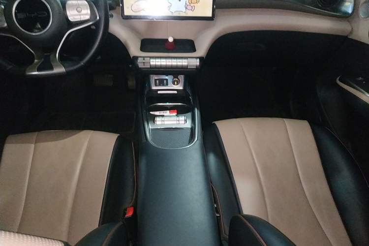 Used BYD Dolphin 2023 420 km Free Version Gear Lever