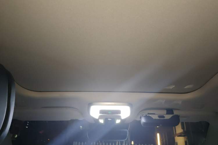 Used Hongqi H9 2020 2.0T Smart Connect Flagship Edition