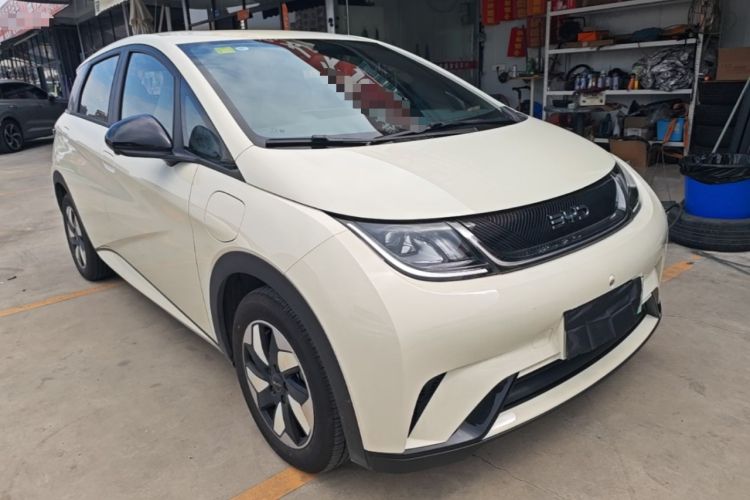 Used BYD Dolphin 2025 420km Free Edition

