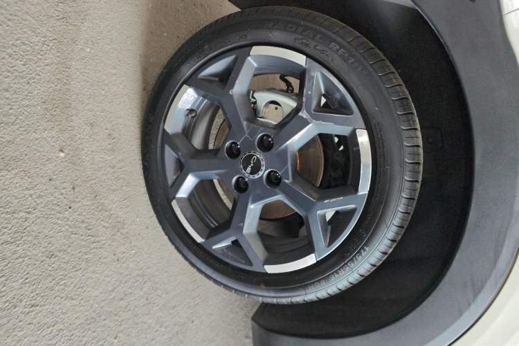 Used BYD Seagull 2025 305 km Free Version