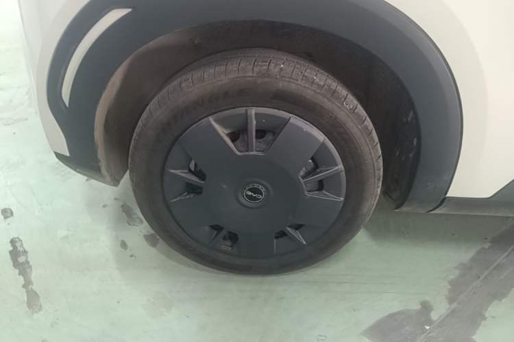 Used BYD Seagull 2025 Intelligent Driving Version 305 km Dynamic Edition Exterior 5