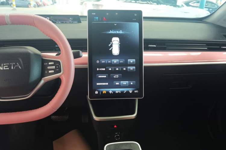 Used NETA V 2021 Witch Edition