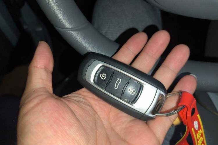 Used Geely Galaxy Panda 2024 Panda Mini 200km Endurance Bear
