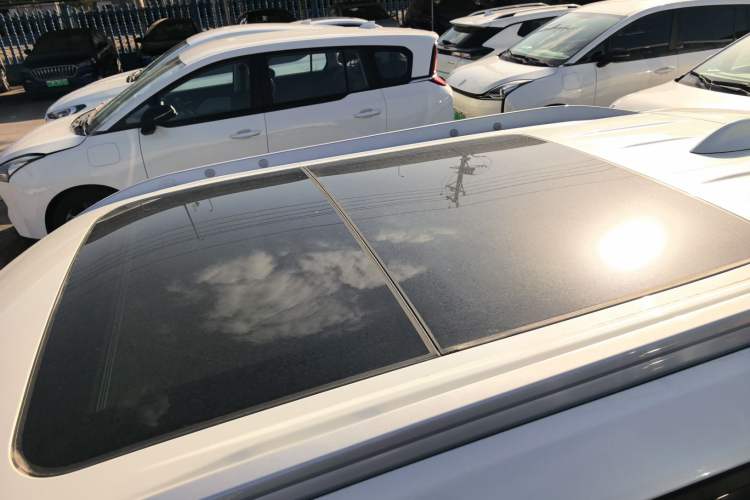 Used Venucia T60EV 2020 AI Enjoyment Model