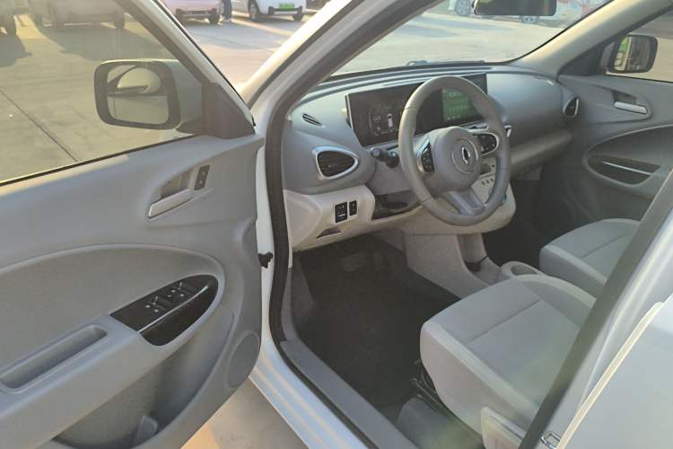 Used ORA White Cat 2020 360 km Luxury Version Driver Seat