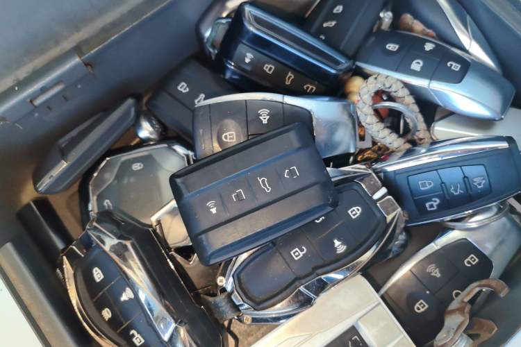 Used Cyberspace Tank 300 2021 2.0T Cyber Tank
