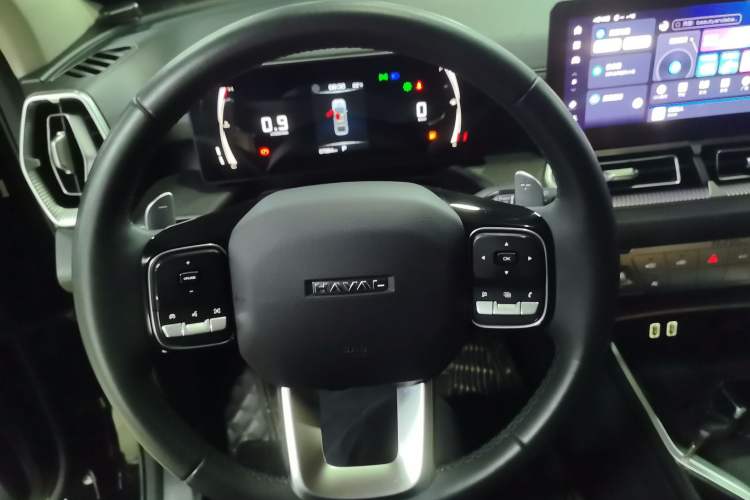 Used Haval H5 2023 2.0T Automatic Two-Wheel Drive LinkedIn Gasoline