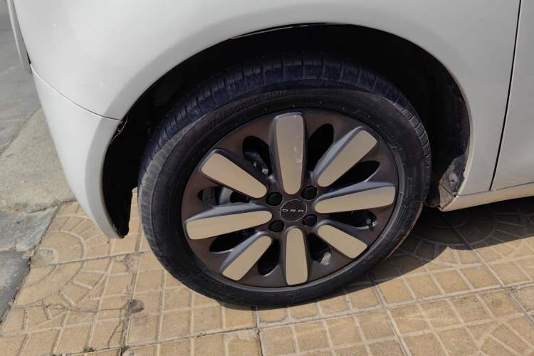 Used ORA Black Cat 2021 351 km Standard Version
