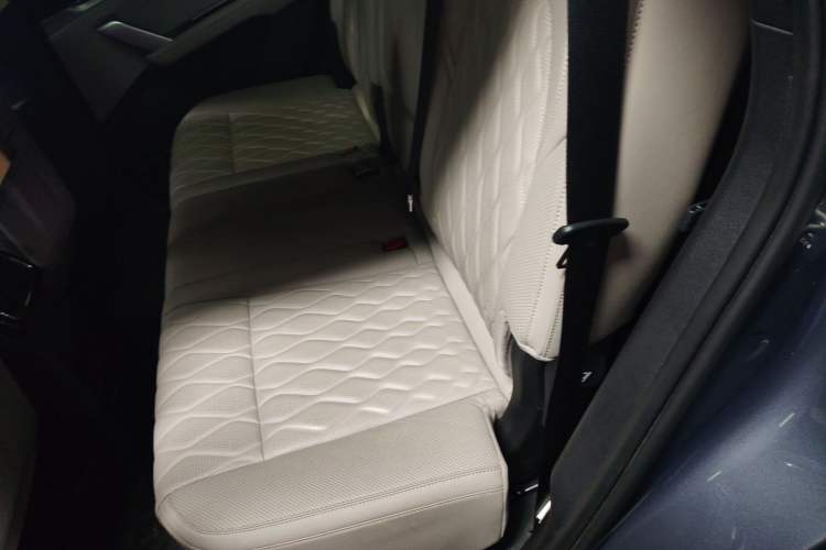 Used BYD Tang New Energy 2024 EV Champion Edition 600KM Deluxe Model Left Rear Seat