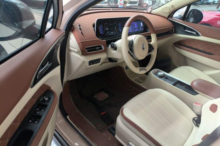 Used ORA Good Cat 2022 Morandi Edition 400km Standard Range Luxury Version Lithium Iron Phosphate