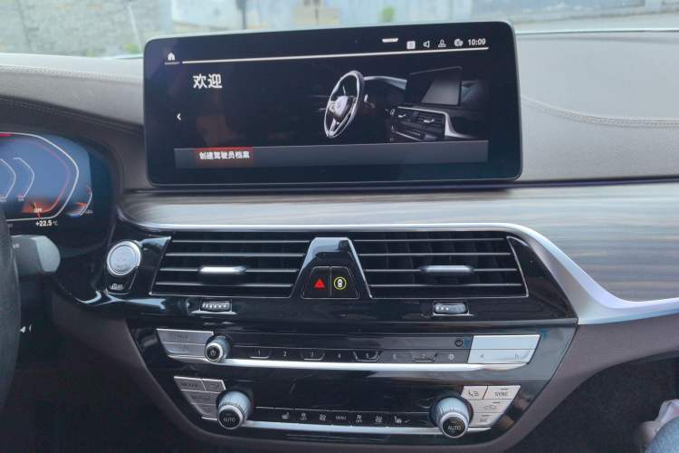 Used BMW 5 Series 2021 530Li Leading Luxury Package