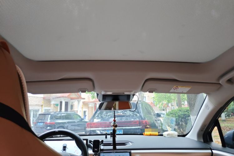 Used XPeng P5 2022 460E+ Headliner