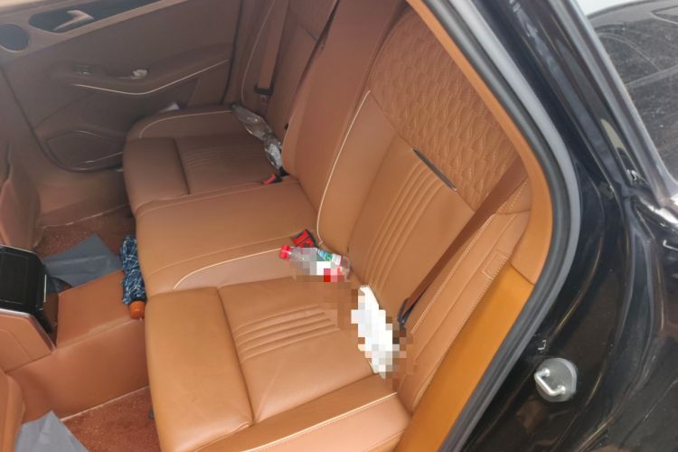 Used Hongqi H9 2020 2.0T Smart Connect Flagship Edition
