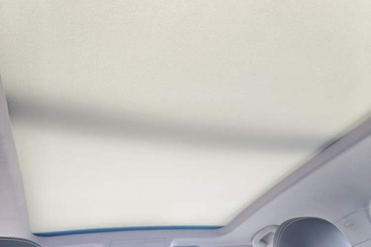 Used Volkswagen Tiguan L 2018 380TSI Automatic All-Wheel Drive Luxury Edition Headliner