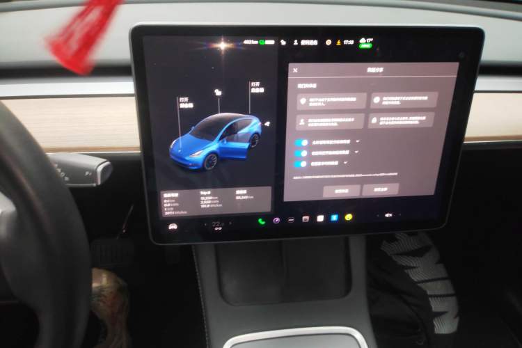 Used Tesla Model Y 2021 Standard Range Rear-Wheel Drive Version
