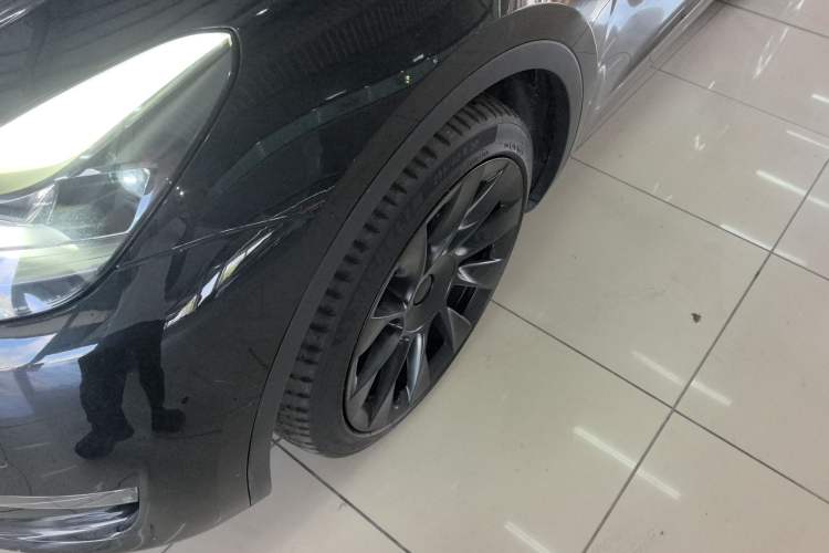 Used Tesla Model Y 2021 Standard Range Rear-Wheel Drive Version
