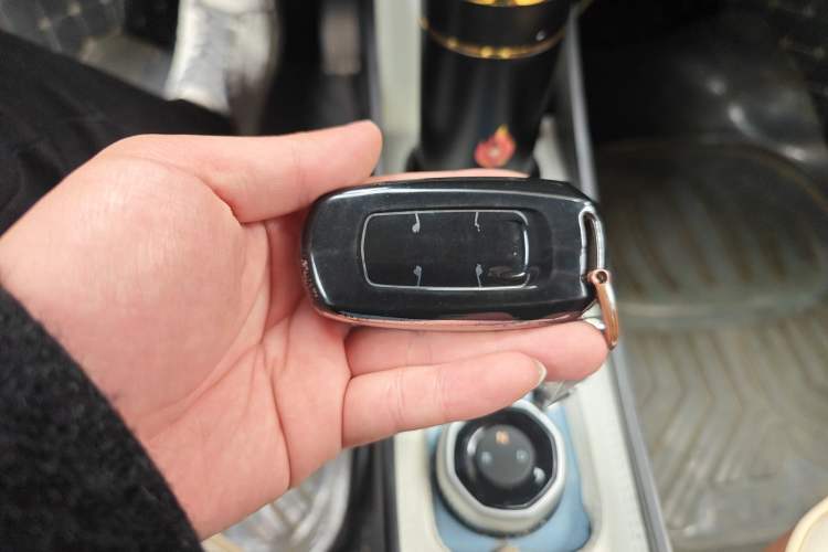 Used Geely Galaxy Panda 2024 Facelifted Panda Mini 200km Dragon Edition
